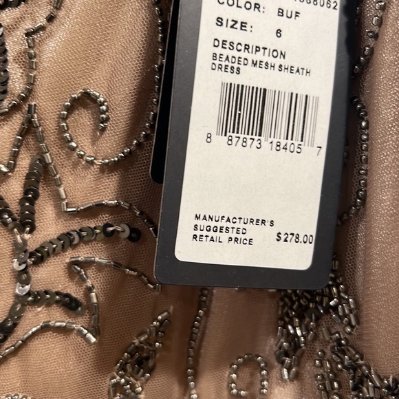 Adrianna Papell beaded nude mesh sheath dress - Picture 10 of 10